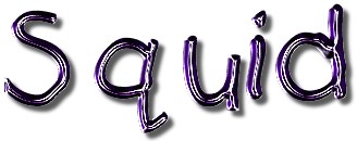 chromegloss.jpg (13092 bytes)