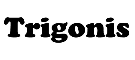 trig2.jpg (11111 bytes)
