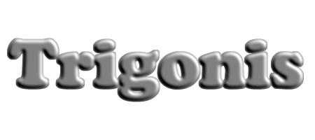 trig4.jpg (10100 bytes)